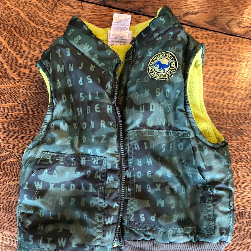 Boys fall/winter vest, green/dinosaur motif
